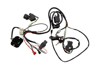 Basic Wire Wiring Harness Loom 150cc 250cc Engine PIT Quad Dirt Bike ATV Buggy