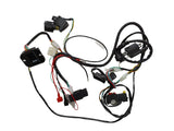 Basic Wire Wiring Harness Loom 150cc 250cc Engine PIT Quad Dirt Bike ATV Buggy